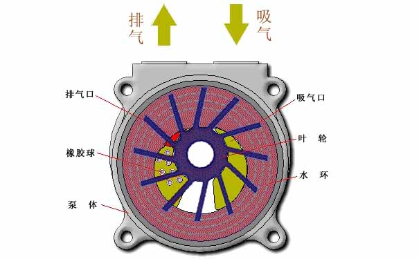 水環(huán)真空泵，水環(huán)式真空泵工作原理