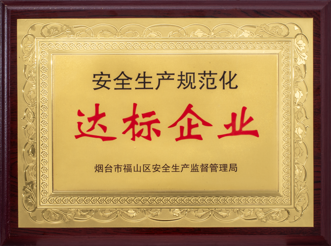 安全生產(chǎn)規(guī)范化達標企業(yè)